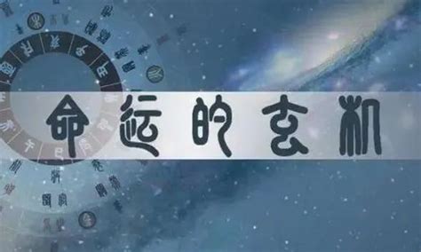 男命寡宿|紫微斗数诸星落命宫之：孤辰、寡宿详解【命理八字实战】